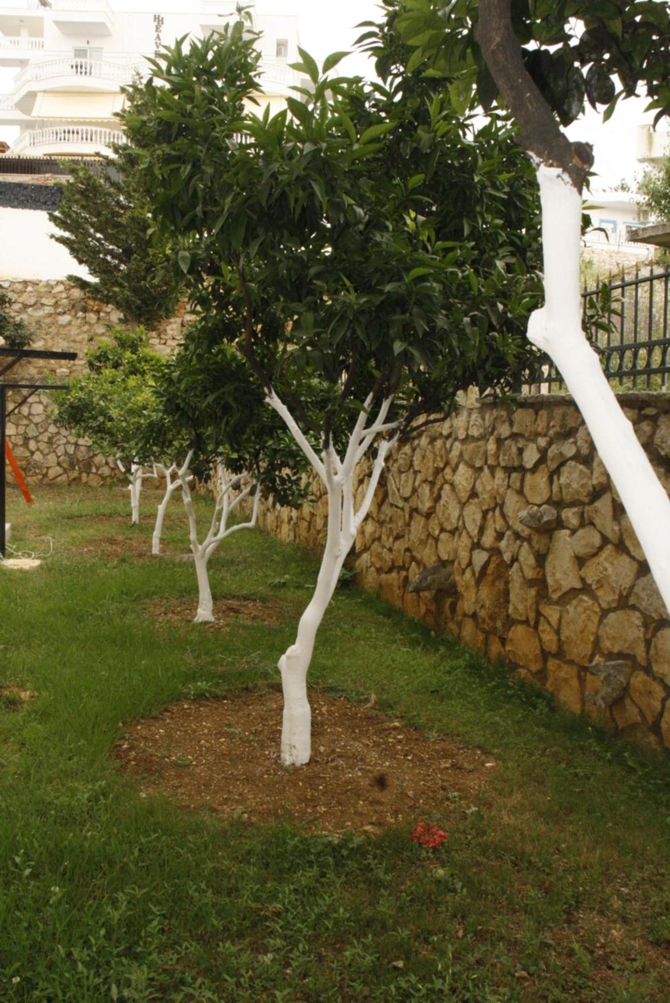 קסאמיל Villa Kreshta מראה חיצוני תמונה